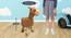 Angelina Wooden Alpaca Stool for Kids (Skin) by Urban Ladder - Design 1 Dimension - 558547