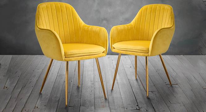 Yellow on sale color chair