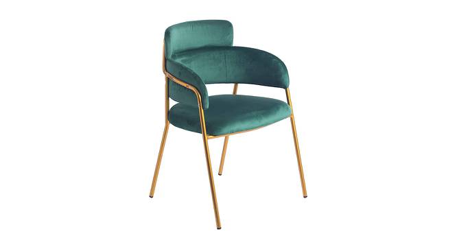 Willy Lounge chair in Teal Color (Teal) by Urban Ladder - Front View Design 1 - 559891