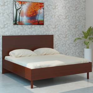 Kids Beds Without Storage Design Fiona Engineered Wood Non storage Bed in Terra Sienna Colour
