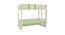 Primera Twin Bunk Bed- Verdant Green (Verdant Green) by Urban Ladder - Cross View Design 1 - 560972