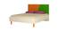 Fiona Kids Compact Double Bed- Light Orange - Verdant Green (Light Orange - Verdant Green) by Urban Ladder - Front View Design 1 - 560986