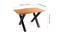 Evan Handcrafted Natural Live Edge Dining Table In Acacia Wood (Brown, Polished Finish) by Urban Ladder - Design 1 Dimension - 561539
