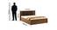 Modena Queen Size Hydraulic Storage Bed (Teak Finish, Queen Bed Size) by Urban Ladder - Design 1 Dimension - 562357