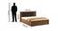 Modena King Size Hydraulic Storage Bed (Teak Finish, King Bed Size) by Urban Ladder - Design 1 Dimension - 562358