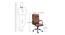 Garrison Ergonomic chair (Brown) by Urban Ladder - Design 1 Dimension - 562599