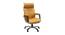 Emile Ergonomic chair (Tan) by Urban Ladder - Front View Design 1 - 562612