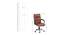 Upton Ergonomic chair (Brown) by Urban Ladder - Design 1 Dimension - 562671