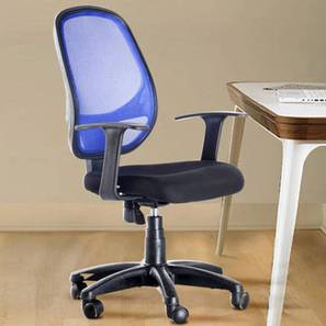 Study Chair In Bhojpur Design Dianthe Study Chair With Headrest in Blue Colour