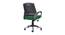 Melosa Ergonomic chair (Black & Green) by Urban Ladder - Design 1 Close View - 562783