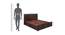 Destiny Solid Wood Queen Size Hydraulic Storage Bed in Walnut  Finish (Walnut Finish, King Bed Size) by Urban Ladder - Design 1 Dimension - 563608