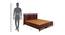 Catherine Solid Wood Queen Size Hydraulic Storage Bed in Walnut  Finish (Walnut Finish, King Bed Size) by Urban Ladder - Design 1 Dimension - 563609