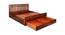 Beatrice Solid Wood Queen Size Pull Out Storage Bed in Honey Finish (Queen Bed Size, HONEY Finish) by Urban Ladder - Design 1 Side View - 563685