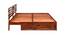 Franco Solid Wood King Size Drawer Storage Bed in Honey Finish (King Bed Size, HONEY Finish) by Urban Ladder - Cross View Design 1 - 563769