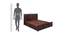 Destiny Solid Wood King Size Hydraulic Storage Bed in Walnut  Finish (Walnut Finish, Queen Bed Size) by Urban Ladder - Design 1 Dimension - 563836