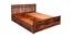 Beatrice Solid Wood Queen Size Box Storage Bed in Honey Finish (Queen Bed Size, HONEY Finish) by Urban Ladder - Design 1 Dimension - 563953