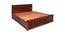 Julieta Solid Wood King Size Hydraulic Storage Bed in Honey Finish (King Bed Size, HONEY Finish) by Urban Ladder - Front View Design 1 - 564241