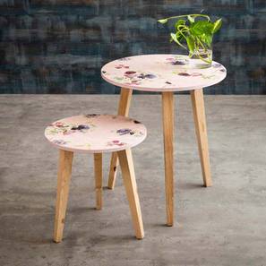Solid Wood Side Table in Blue Finish-image-38