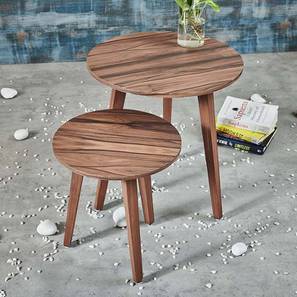 a tiny mistake Solid Wood Side Table in Brown Finish-picture-15