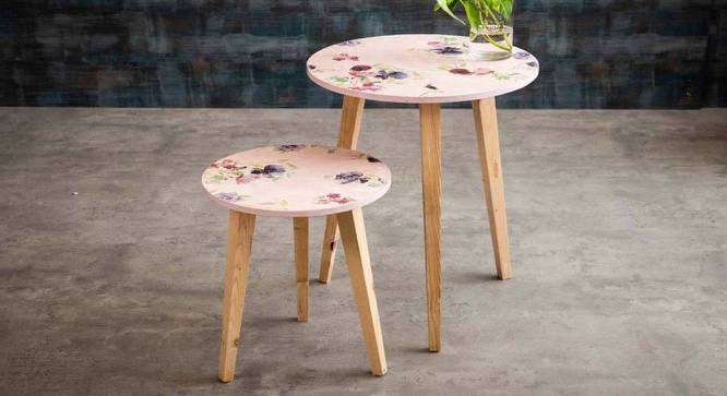 Paula Nested Table (Blue) by Urban Ladder - Front View Design 1 - 564299