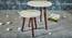 Claudia Nested Table (Rust & Copper) by Urban Ladder - Front View Design 1 - 564303