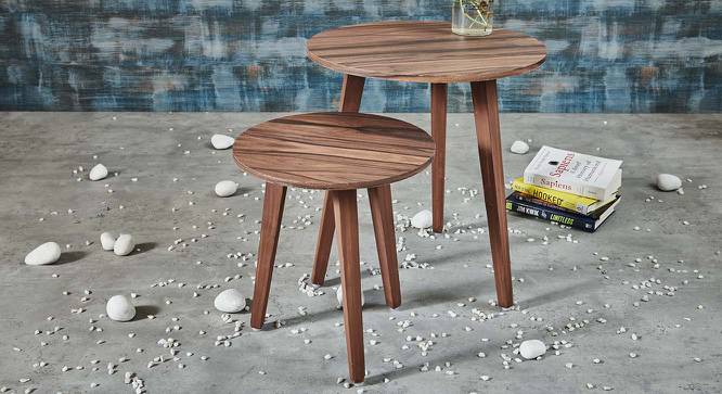 Alejandra Nested Table (Brown) by Urban Ladder - Front View Design 1 - 564306