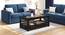 Renesme Rectangular Solid Wood Storage Coffee Table (Mahogany Finish) by Urban Ladder - Design 1 Full View - 565127