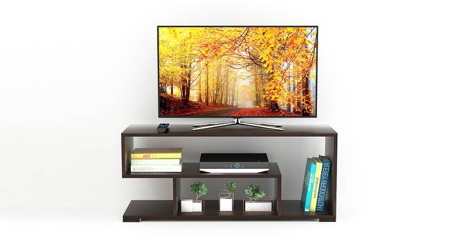 Laraley Free Standing Engineered Wood Shoe Rack in Wenge Finish (Matte Finish) by Urban Ladder - Design 1 Full View - 565279