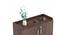 Brooklyn Free Standing Engineered Wood Shoe Rack in Wenge Finish (Matte Finish) by Urban Ladder - Design 1 Side View - 565323