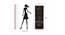 Seonn Engineered Wood Bookshelf in Wenge Finish (Brown Finish) by Urban Ladder - Design 1 Close View - 565337