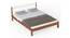 Roverb Engineered Wood King Size Non Storage Bed in Walnut & White Finish (King Bed Size, Matte Finish) by Urban Ladder - Design 1 Full View - 565360