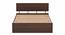 Pollo Engineered Wood King Non Storage Bed in Wenge Finish (King Bed Size, Matte Finish) by Urban Ladder - Front View Design 1 - 565389