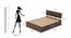 Pollo Engineered Wood King Non Storage Bed in Wenge Finish (King Bed Size, Matte Finish) by Urban Ladder - Design 1 Close View - 565416