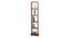 Walten Engineered Wood Display Unit in Walnut Finish (Beige Finish) by Urban Ladder - Design 1 Full View - 565454