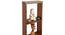 Walten Engineered Wood Display Unit in Walnut Finish (Beige Finish) by Urban Ladder - Design 1 Side View - 565503