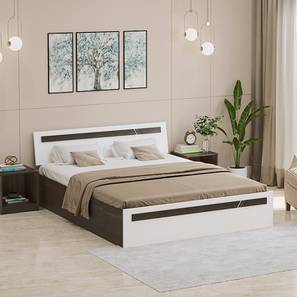 Box Beds With Storage Design Pollo Engineered Wood Queen Size Box Storage Bed in Wenge Finish