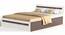 Pollo Engineered Wood Queen Size Non Storage Bed in Wenge & White Finish (Queen Bed Size, Matte Finish) by Urban Ladder - Design 1 Full View - 565545