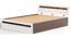 Pollo Engineered Wood Queen Size Storage Bed in Wenge & White Finish (Wenge Finish, Queen Bed Size) by Urban Ladder - Cross View Design 1 - 565562