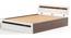 Pollo Engineered Wood Queen Size Non Storage Bed in Wenge & White Finish (Queen Bed Size, Matte Finish) by Urban Ladder - Cross View Design 1 - 565562