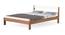 Roverb Engineered Wood Non Storage Bed in Walnut & White Finish (Queen Bed Size, Matte Finish) by Urban Ladder - Cross View Design 1 - 565563