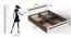 Pollo Engineered Wood Queen Size Non Storage Bed in Wenge & White Finish (Queen Bed Size, Matte Finish) by Urban Ladder - Design 1 Close View - 565639