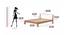 Roverb Engineered Wood Non Storage Bed in Walnut & White Finish (Queen Bed Size, Matte Finish) by Urban Ladder - Design 1 Close View - 565640