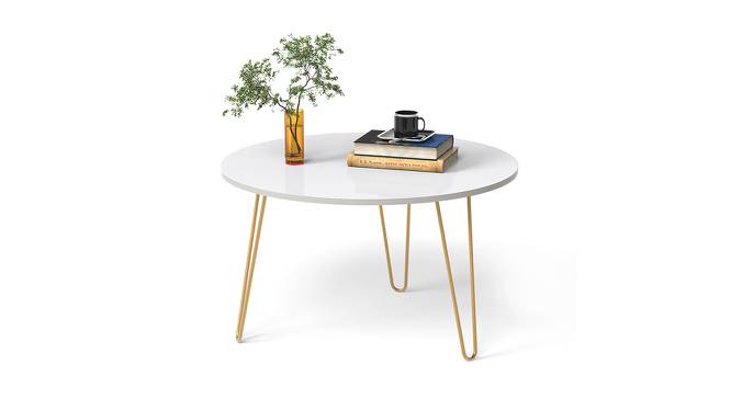 Mayrite Oval Engineered Wood Coffee Table in White Finish (Matte Finish) by Urban Ladder - Design 1 Full View - 565738