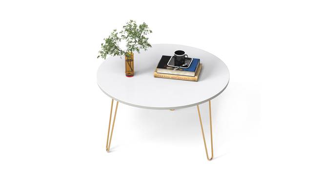 Mayrite Oval Engineered Wood Coffee Table in White Finish (Matte Finish) by Urban Ladder - Cross View Design 1 - 565768