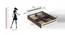 Pollo Engineered Wood King Size Non Storage Bed in Wenge & White Finish (King Bed Size, Matte Finish) by Urban Ladder - Design 1 Close View - 565810