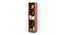 Alex Engineered Wood Bookshelf in Walnut Finish - 5 Shelves (Beige Finish) by Urban Ladder - Design 1 Full View - 565841