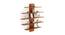 Caselle Engineered Wood Display Unit in Walnut Finish - 5 Shelves (Beige Finish) by Urban Ladder - Design 1 Full View - 565914