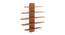 Caselle Engineered Wood Display Unit in Walnut Finish - 5 Shelves (Beige Finish) by Urban Ladder - Cross View Design 1 - 565944