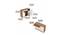Kaspen Free Standing Engineered Wood Shoe Rack in Walnut & White Finish (Matte Finish) by Urban Ladder - Design 1 Close View - 565946