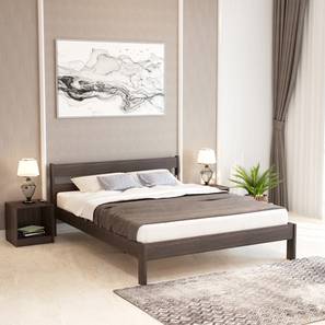 Queen Size Bed Design Roverb Engineered Wood Queen Size Non Bed in Matte Finish